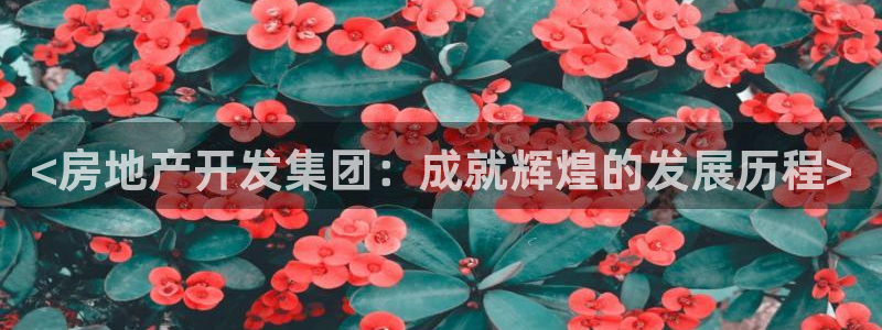 永利官网服务承诺