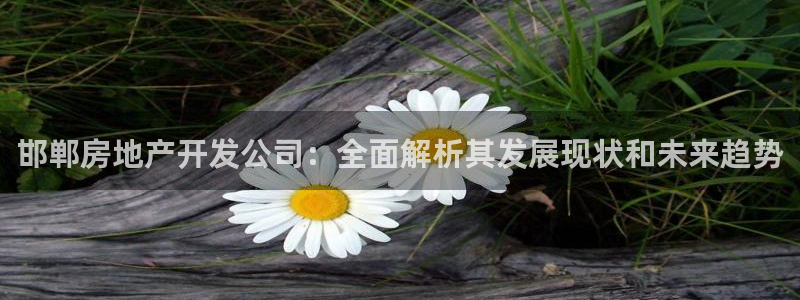 永利来织带厂