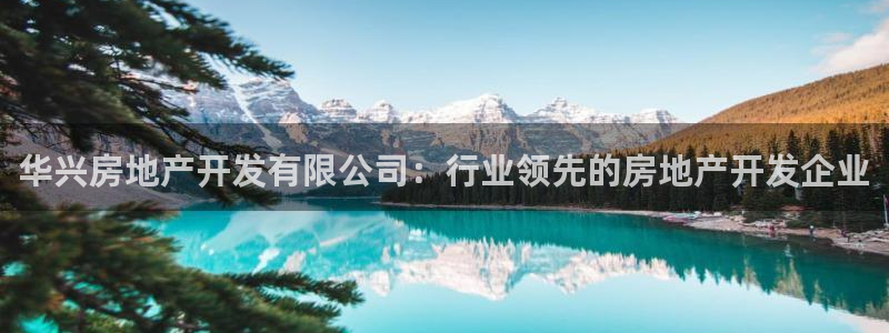永利老板的名字叫什么名字