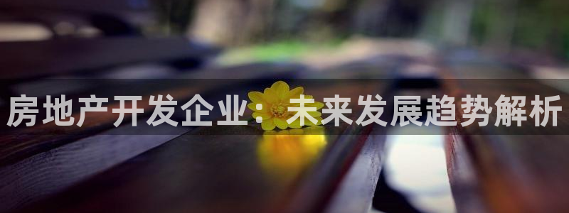 永利皮带官网价格查询系统