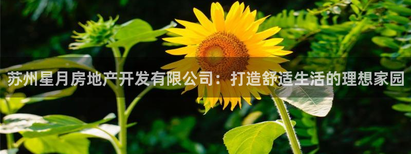 永利游乐城网址是多少