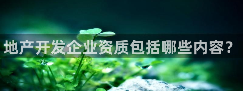 澳门永利图片夜景