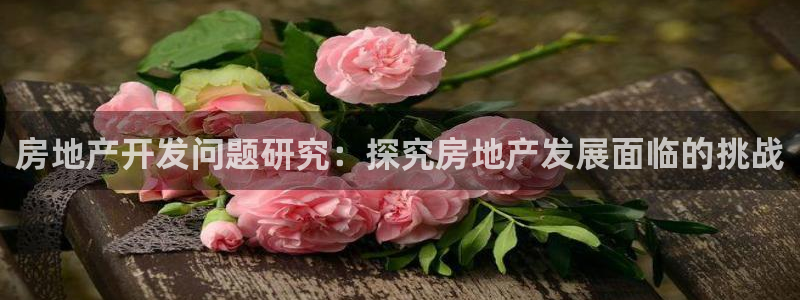 永利现场