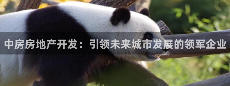 永利皮具厂东莞