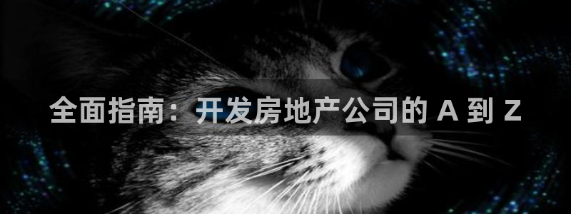 永利皮革有限公司