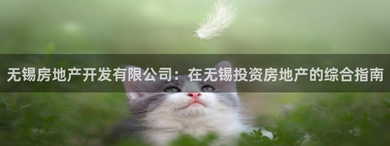 永利网9900777公司的地址