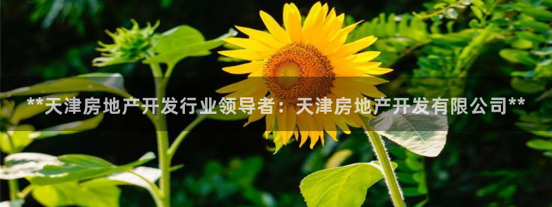 永利官网查询系统