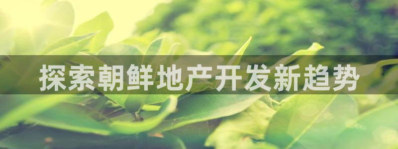 永利公司是干嘛的