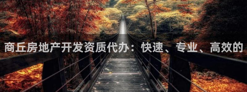 永利房地产有限公司怎么样