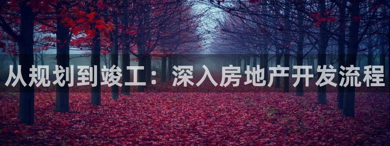 永利工业制带