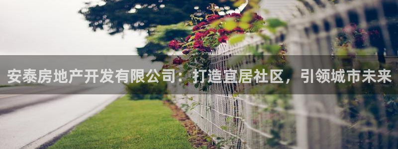 永利黄府黄立青信鸽图片