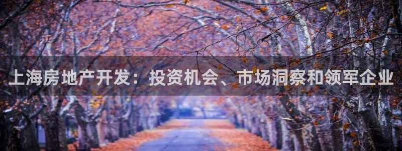 永利网是干什么的,能挣到钱吗?
