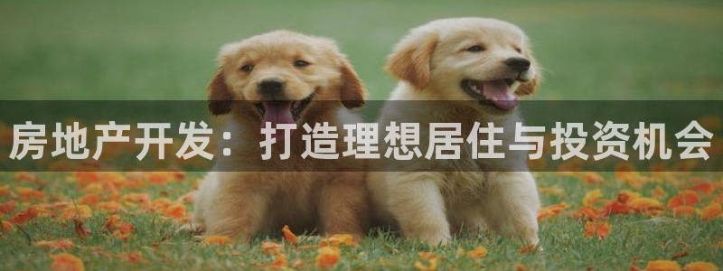 永利股份诊股