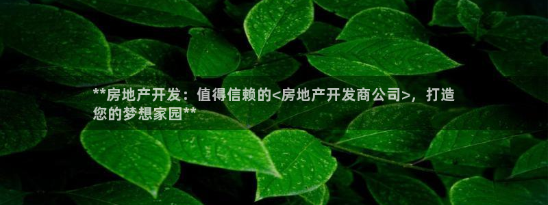 永利公司是干嘛的