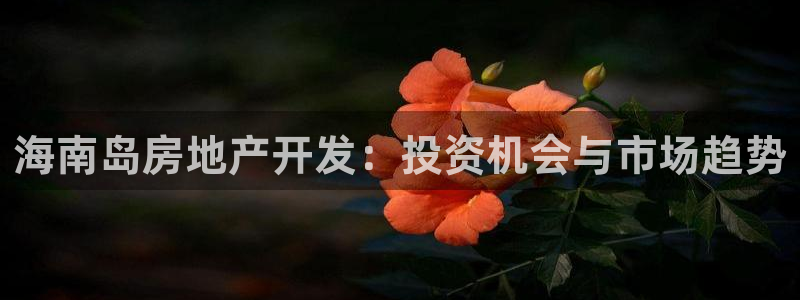 永利输的钱可以弄回来吗