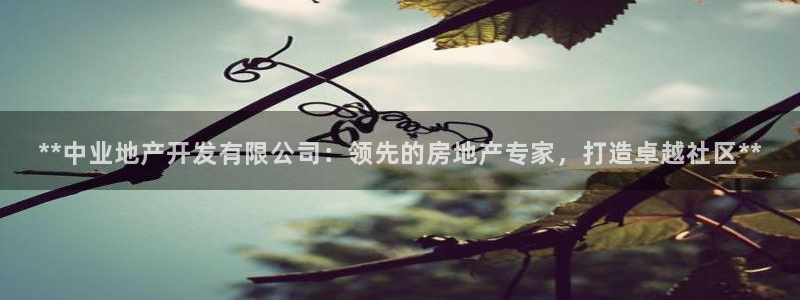 永利电影