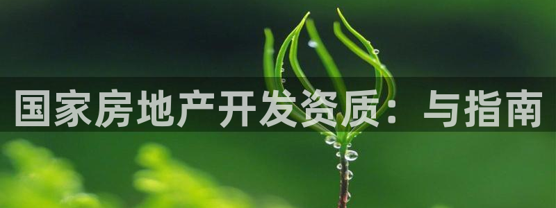 永利地产工程有限公司