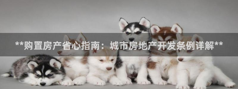 永利公司是做什么的