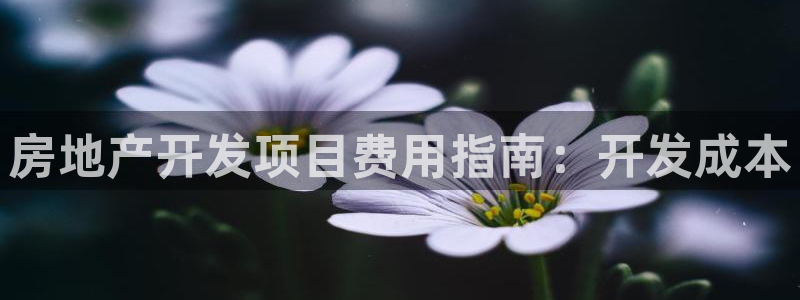 永利股份最新