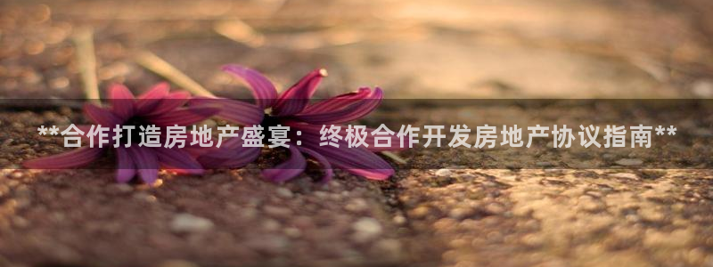 永利网会员