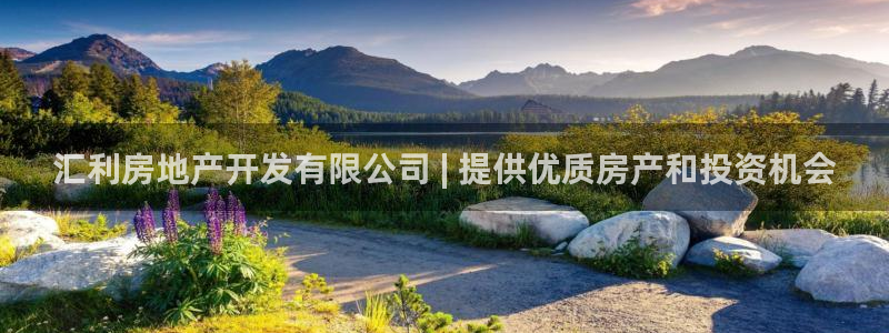 永利信誉网址