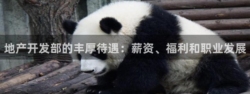 永利鞋业有限公司
