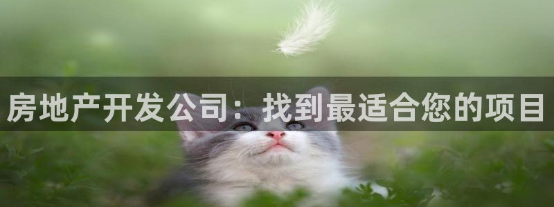 永利股份有限公司