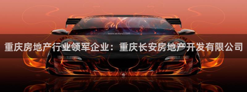 永利股份有限公司介绍