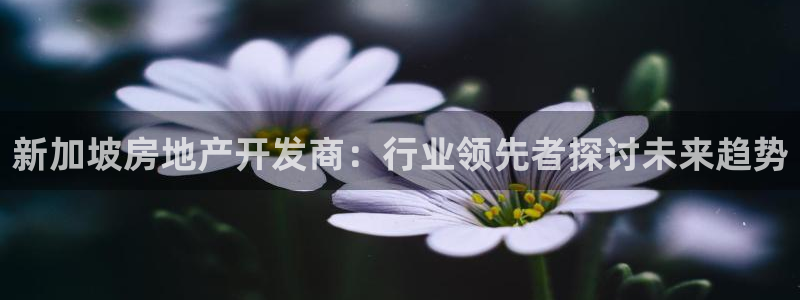 永利皮革有限公司