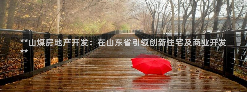 永利房地产有限公司董事长是谁
