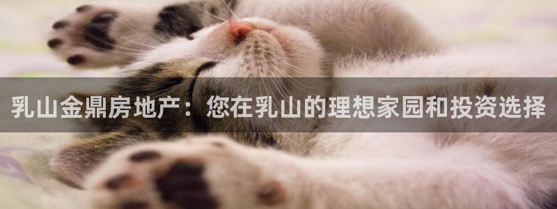 永利皮带官网价格查询