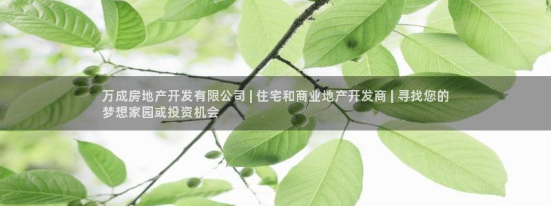 滨州永利顺运输有限公司