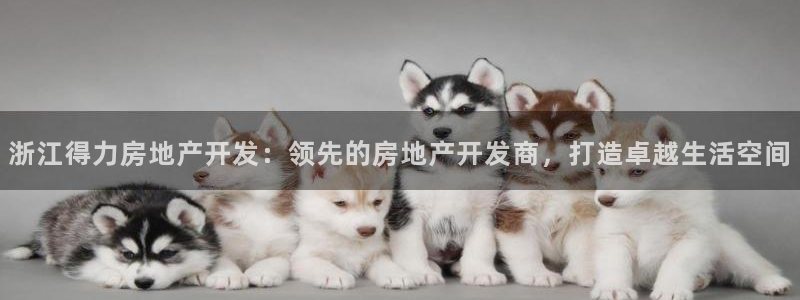 永利汇茶具官网