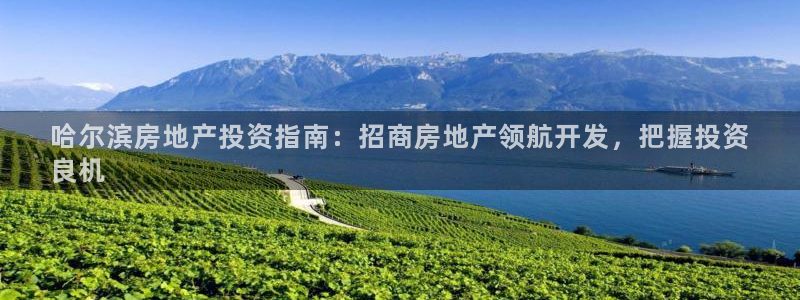 永利股份利空消息