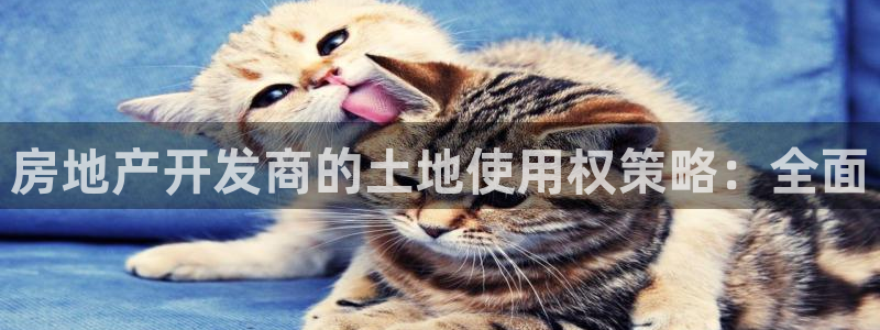 永利股份公告