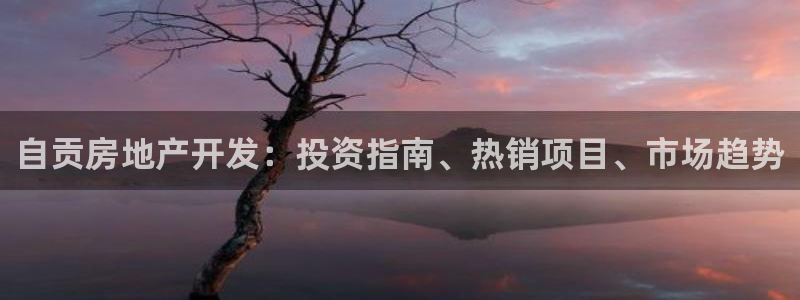 鄂尔多斯永利煤矿老板