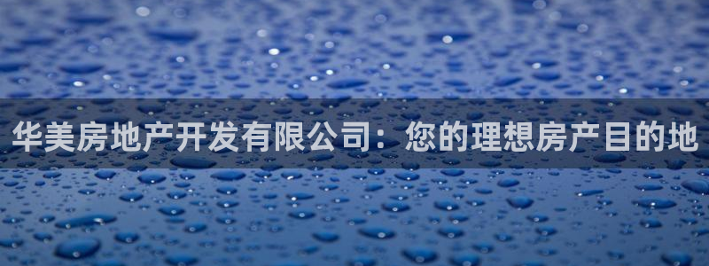 永利官网误乐域一个币多少钱