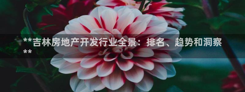 永利技术有限公司