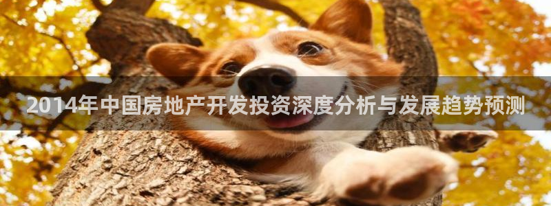 永利公司简介