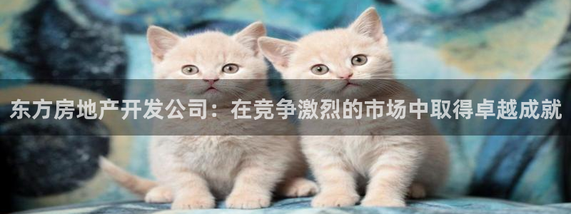滨州永利顺运输有限公司