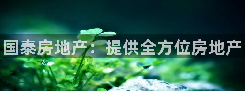 永利官网y
