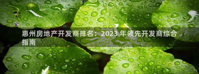 永利酒店有几家