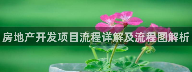 莱州永利集团