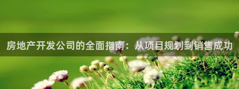 永利官网总站入口在哪