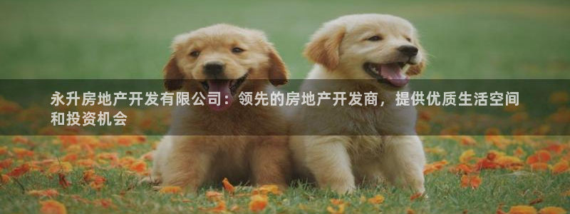 滨州永利篮球俱乐部老板