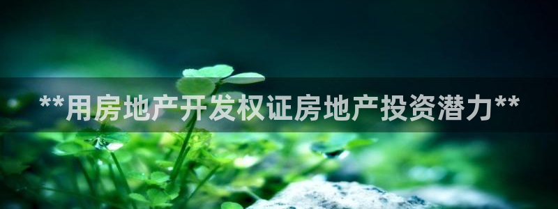 永利地产工程有限公司