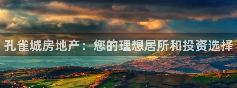 澳门永利集团简介
