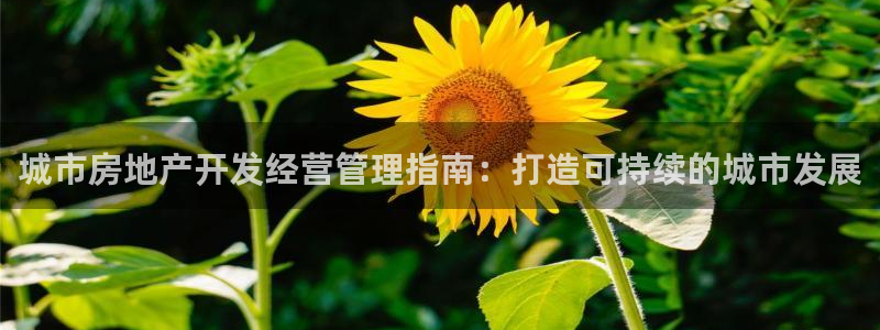 永利游乐城网址是多少