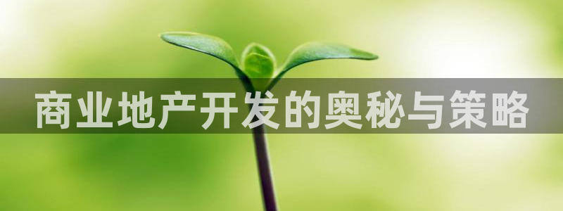 永利pc网址