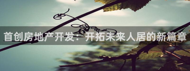 永利集团简介概况